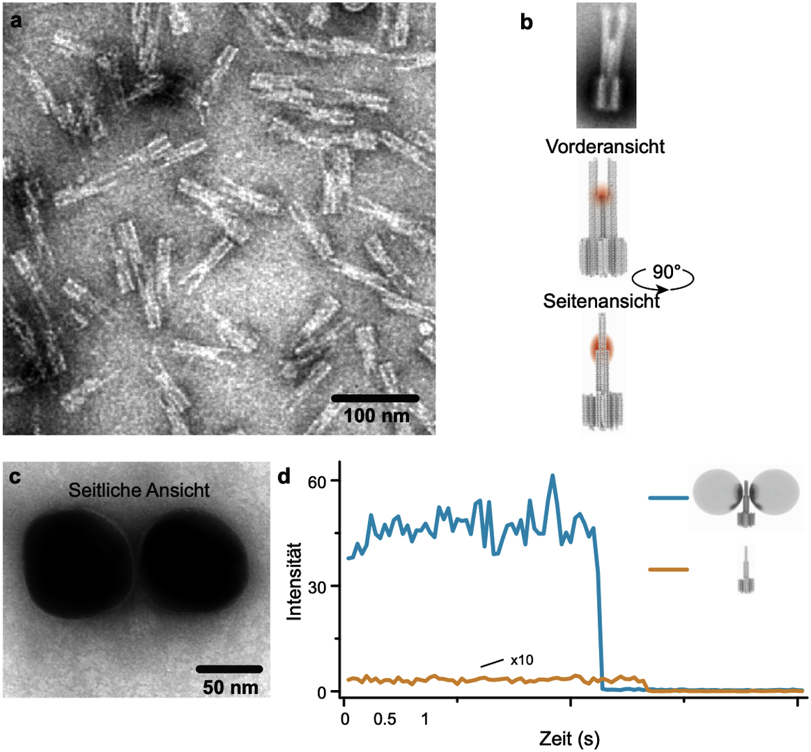 Das Bild besteht aus mehreren Einzelbildern. Links oben ist eine Mikroskopaufnahme von winzigen Antennen gezeigt mit der Maßstabsskala 100 Nanometer. rechts daneben sind die Mini-Antennen gezeigt. Darunter eine weitere Mikroskopieaufnahme und rechts daneben eine Darstellung der Intensität über die Zeit.