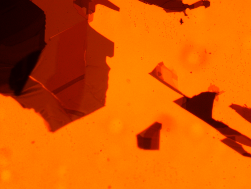 Orangefarbene Polygone auf hellorangenem Hintergrund.
